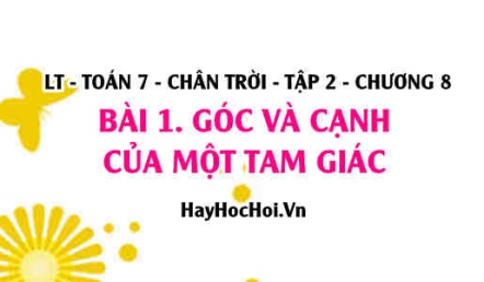 Tổng 3 góc của tam giác, quan hệ giữa ba cạnh của tam giác? Toán 7 chân trời tập 2 chương 8 bài 1